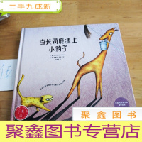 正 九成新当长颈鹿遇上小豹子