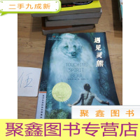 正 九成新遇见灵熊