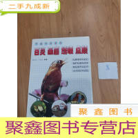 正 九成新中国四大名鸟:百灵 画眉 绣眼 点颏