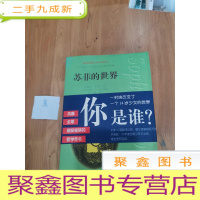 正 九成新苏菲的世界