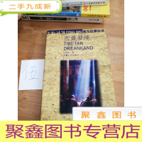 正 九成新西藏梦境