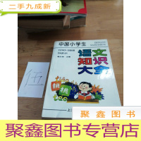 正 九成新中国小学生语文知识大全