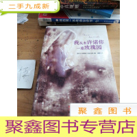 正 九成新我从未许诺你一座玫瑰园