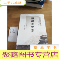 正 九成新长安史迹丛刊:类编长安志