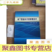 正 九成新地下管道非开挖修复技术