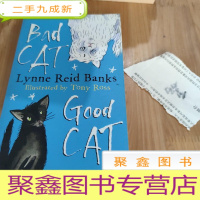 正 九成新bad cat lynne reid banks good cat