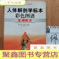 正 九成新人体解剖学标本彩色图谱(第2版)