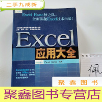 正 九成新Excel应用大全:Excel Home技术专家团队又一力作