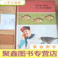 正 九成新FROM FINS TO FEATHERS