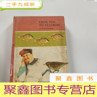 正 九成新From fins to feathers 从鳍到羽毛