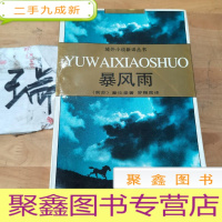 正 九成新暴风雨