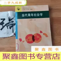 正 九成新当代青年社会学