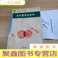 正 九成新当代青年社会学