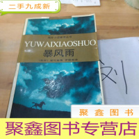 正 九成新暴风雨