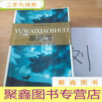 正 九成新暴风雨