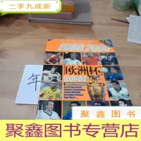 正 九成新欧洲杯108兵器谱(2000年欧洲足球锦标赛巨星图鉴)