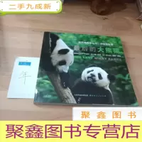正 九成新最后的大熊猫