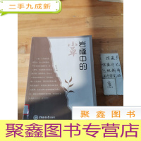 正 九成新岩缝中的小草
