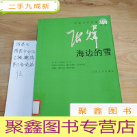 正 九成新海边的雪