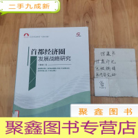 正 九成新首都经济圈发展战略研究