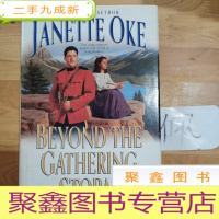 正 九成新Beyond the Gathering Storm