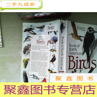 正 九成新Book of North American Birds 北美鸟类