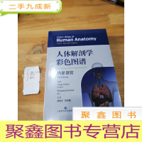 正 九成新人体解剖学彩色图谱.内脏器官 奥地利海尔格·弗里奇,德沃尔夫冈·屈内尔编著凌树才 吴仲敏主译 著 凌树才吴仲