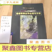 正 九成新遥感图像应用处理与分析