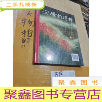 正 九成新杯子的故事:失踪的婷婷、沉睡的河神