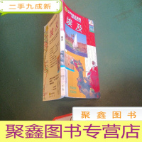 正 九成新埃及--世界旅游指南