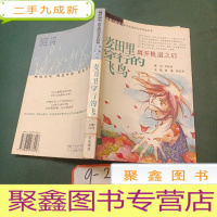 正 九成新离开轨道之后·麦田里穿行的飞鸟