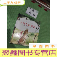 正 九成新小兔子找表哥