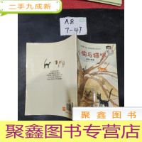 正 九成新小狗与猫咪 分享与友谊