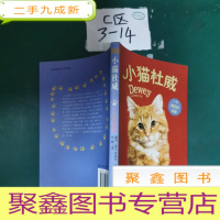 正 九成新小猫杜威