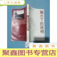 正 九成新阳光下的迷惘:莲子采访作品选