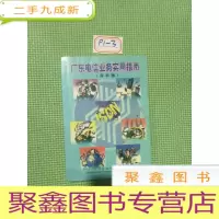 正 九成新广东电信业务实用指南