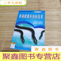 正 九成新黄鳝健康养殖新技术