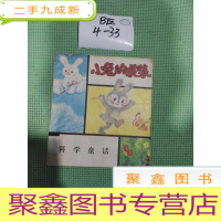 正 九成新小兔的春装