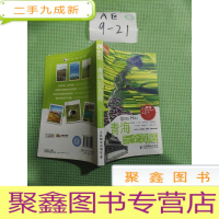 正 九成新青海玩全攻略