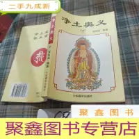 正 九成新净土奥义 下册