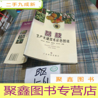 正 九成新荔枝生产关键技术彩色图说