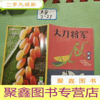 正 九成新大刀将军:螳螂