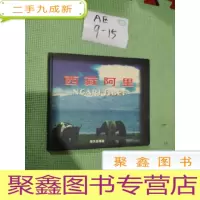 正 九成新西藏阿里