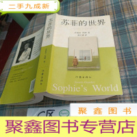 正 九成新苏菲的世界