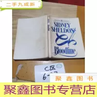 正 九成新英文版SIDNEY SHELDON[血统]