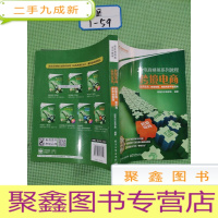 正 九成新新电商精英系列教程跨境电商运营实务:跨境营销、物流与多平台实践