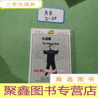 正 九成新大成拳精粹系列站桩DVD