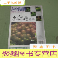 正 九成新水草品种特辑