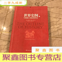 正 九成新世界史纲