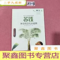 正 九成新苏铁神奇的活化石植物